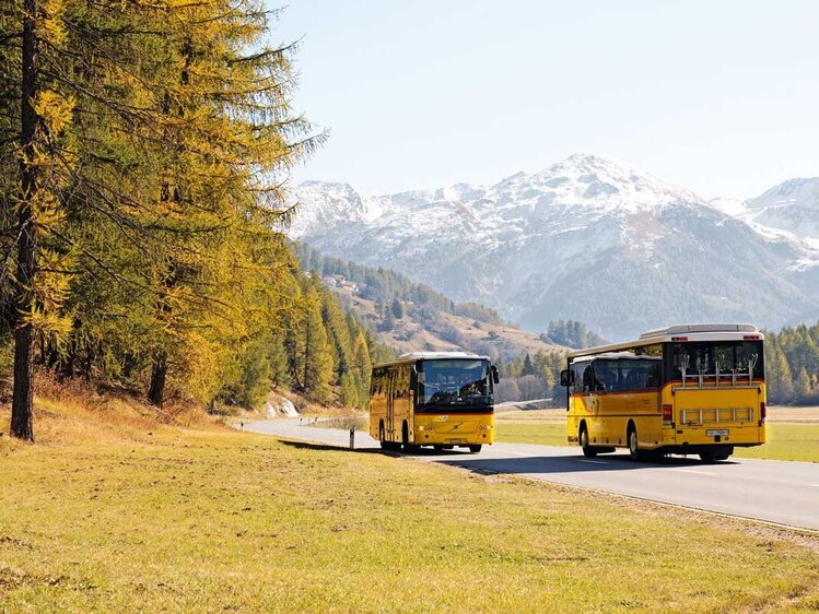 Free public transport to Swiss parks